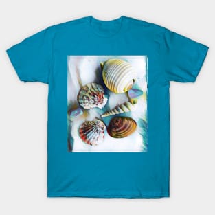 Seashells T-Shirt